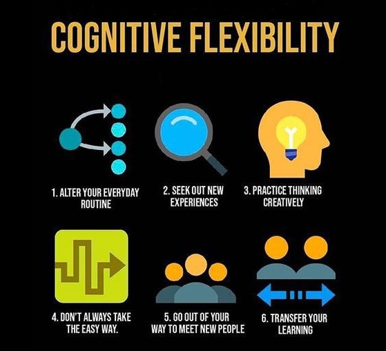 cognitive flexibility and problem solving