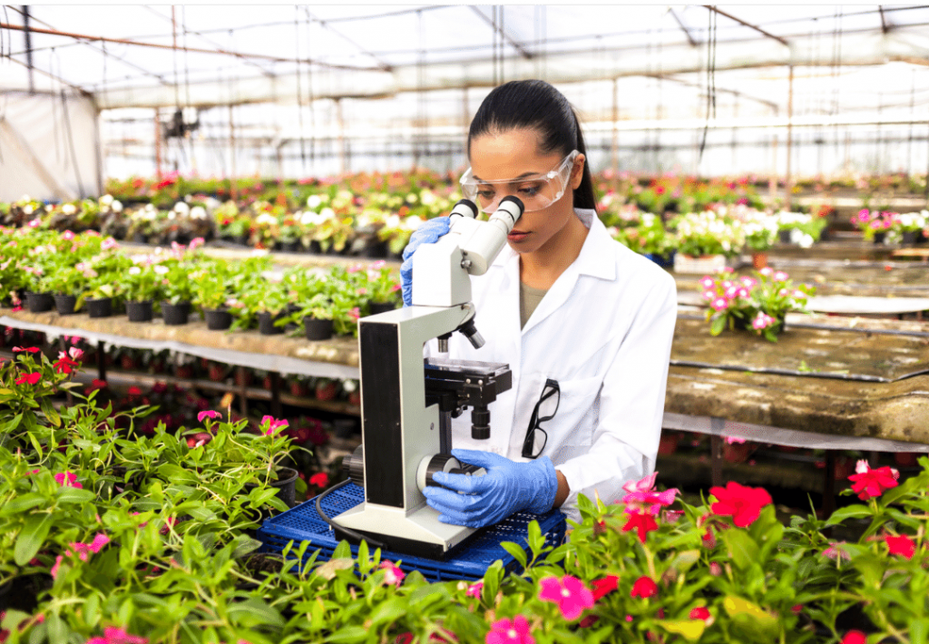 phd botany jobs in india