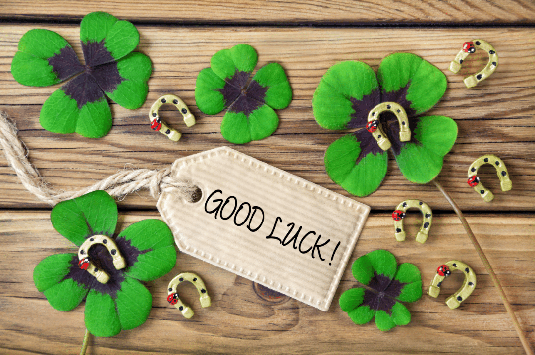 Important Rules of Good Luck - Institute for Career Studies