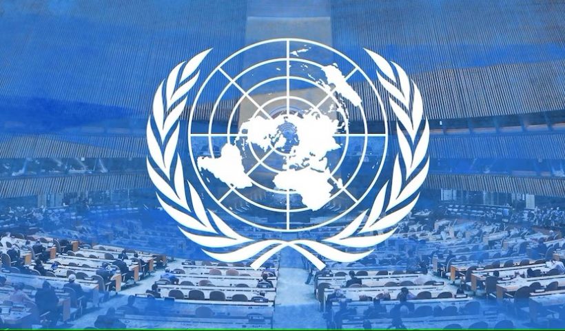 United Nations Careers: Creating Your Job Application